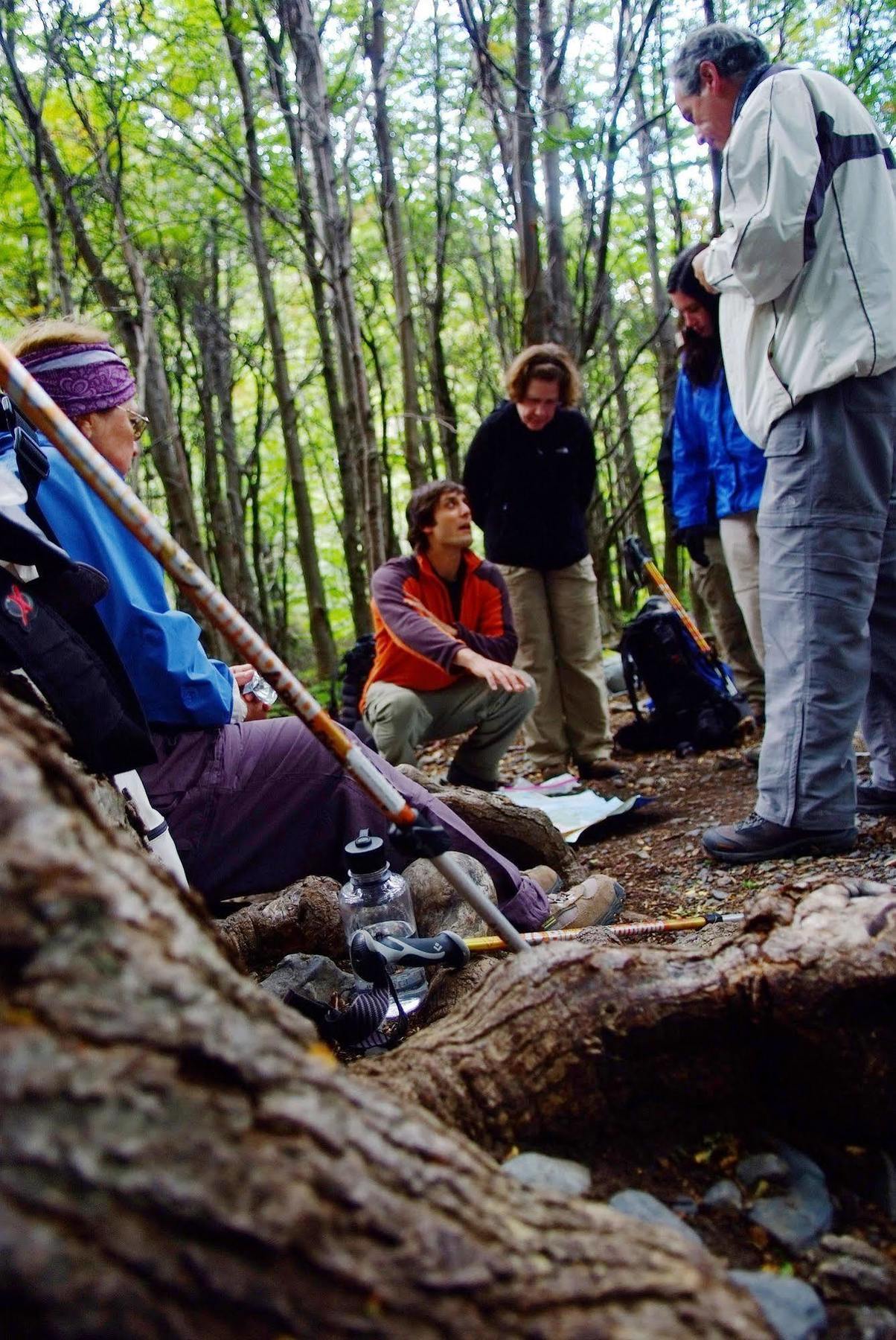 Explora En Torres Del Paine